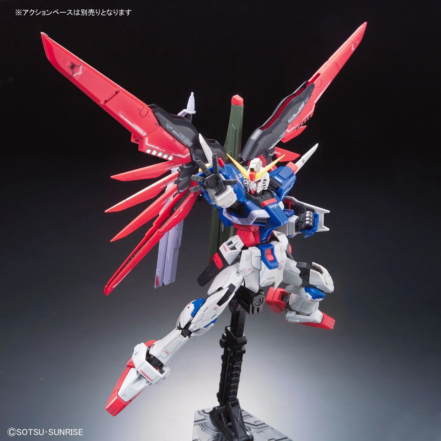 11 RG Destiny Gundam - Image 3