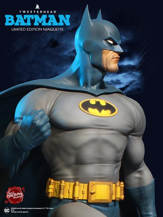 DC Super Powers Collection - Batman Maquette - Image 3