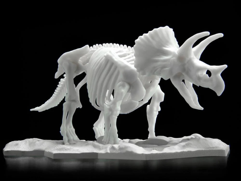 Dinosaur Skeleton Triceratops Model Kit - Image 2