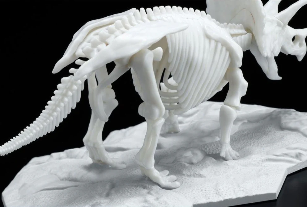 Dinosaur Skeleton Triceratops Model Kit - Image 3