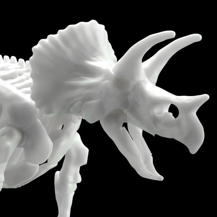 Dinosaur Skeleton Triceratops Model Kit - Image 4