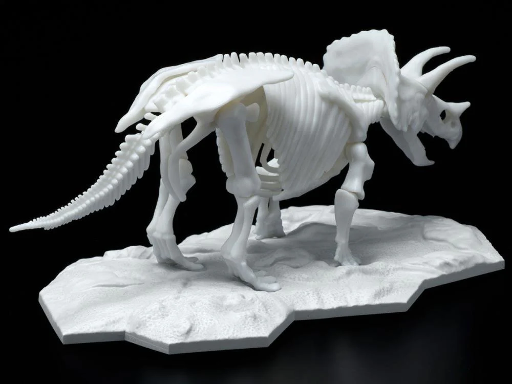 Dinosaur Skeleton Triceratops Model Kit - Image 6