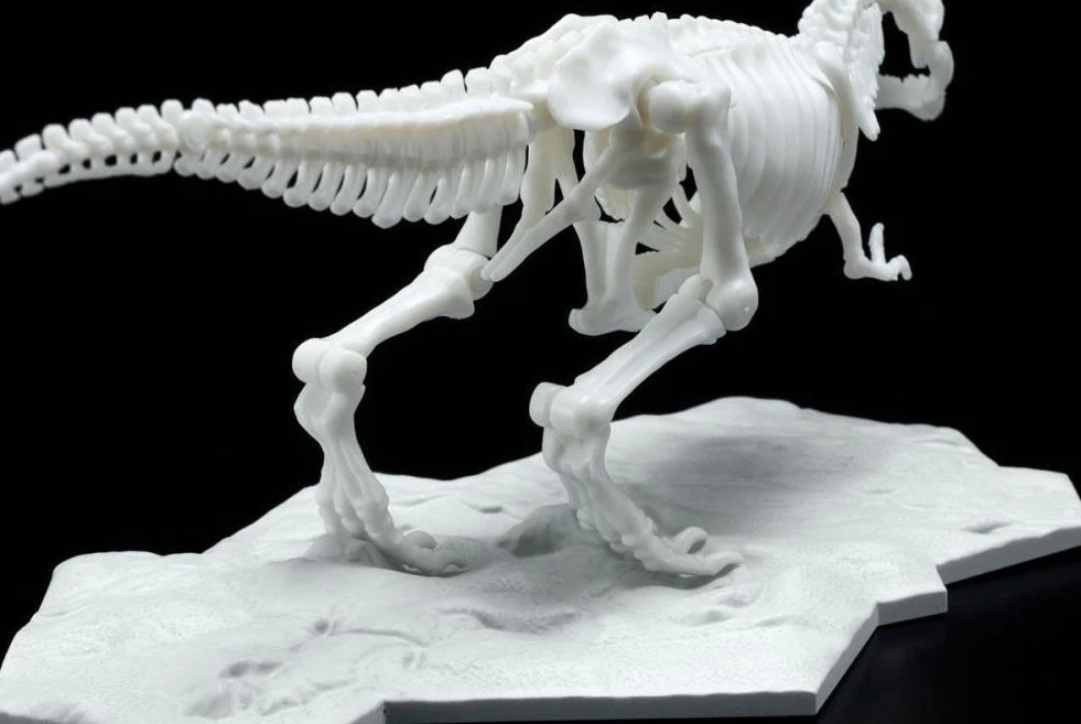 Dinosaur Skeleton Tyrannosaurus Rex Model Kit - Image 5