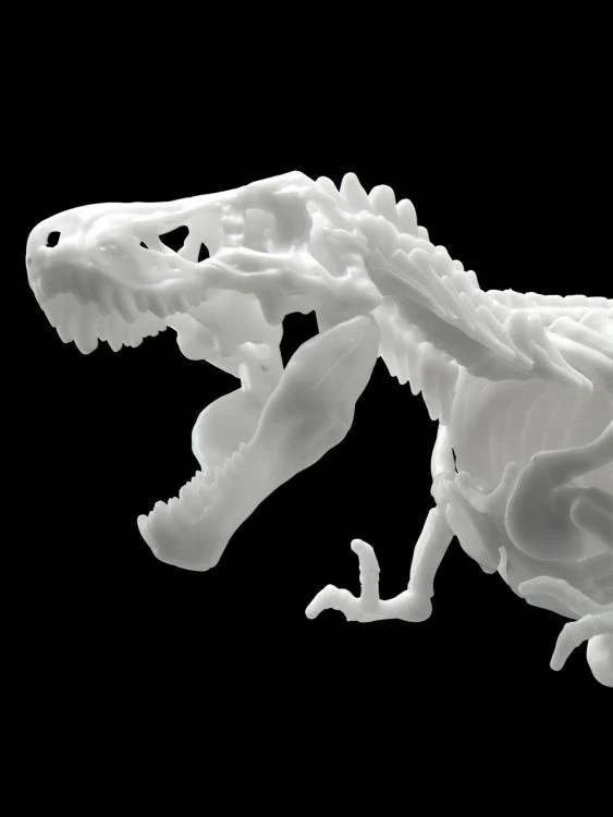 Dinosaur Skeleton Tyrannosaurus Rex Model Kit - Image 6
