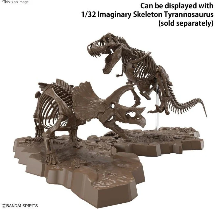 Imaginary Skeleton Triceratops 1/32 Scale Model Kit - Image 8
