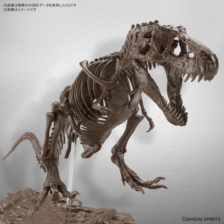 Imaginary Skeleton Tyrannosaurus 1/32 Scale Model Kit - Image 3