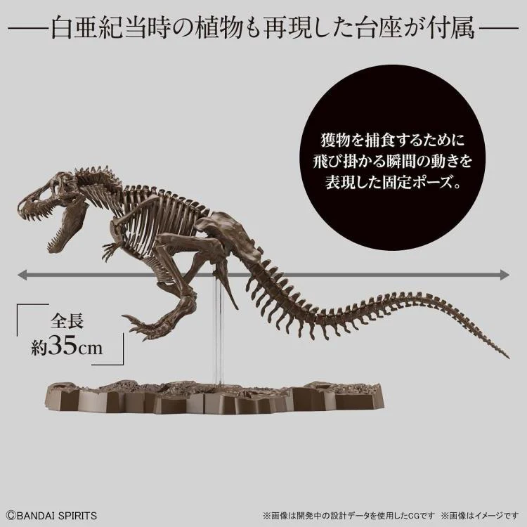 Imaginary Skeleton Tyrannosaurus 1/32 Scale Model Kit - Image 4