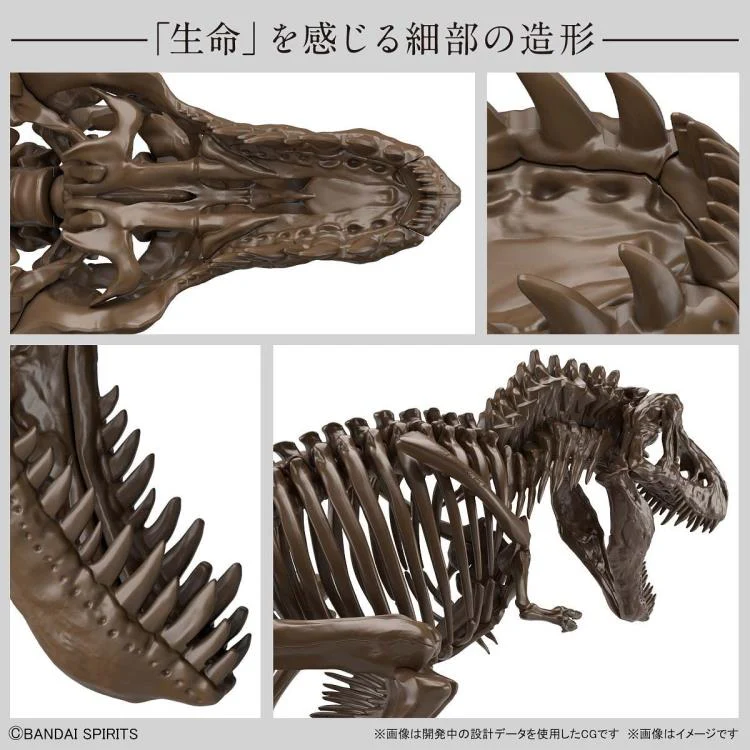 Imaginary Skeleton Tyrannosaurus 1/32 Scale Model Kit - Image 5