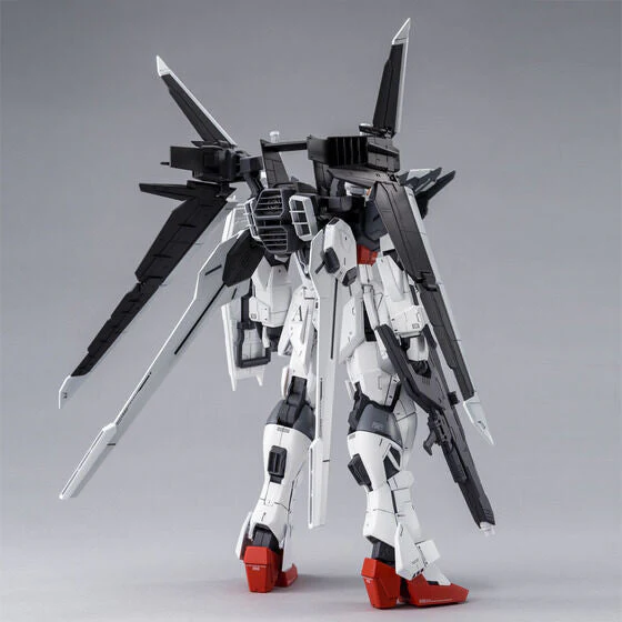 MG Gundam Ex Impulse -  P-Bandai - Image 3