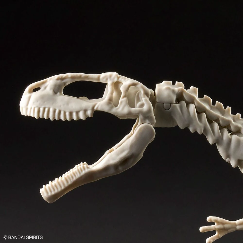 Plannosaurus Giganotosaurus Model Kit - Image 10