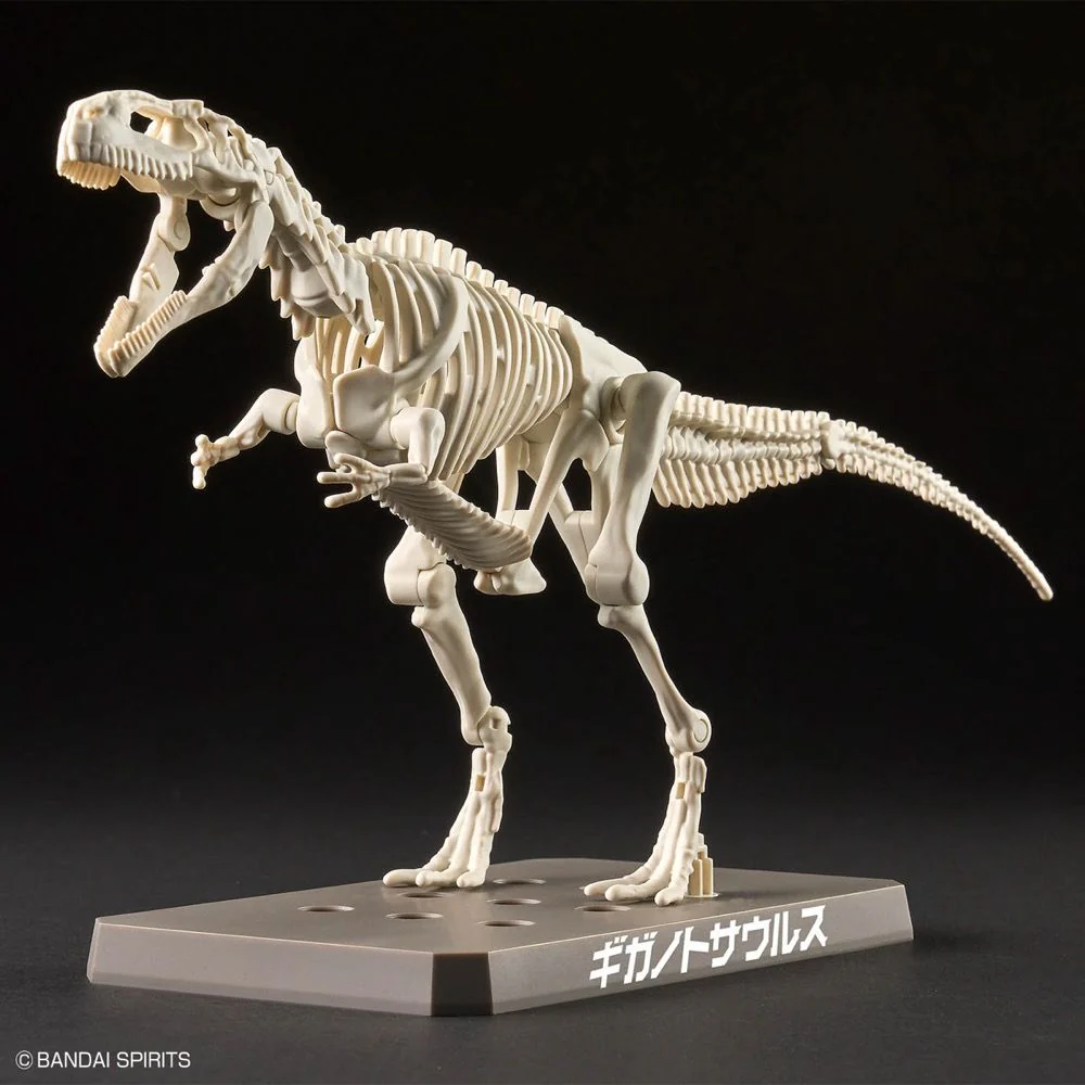 Plannosaurus Giganotosaurus Model Kit - Image 8