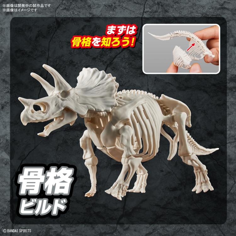 Plannosaurus Triceratops Model Kit - Image 9