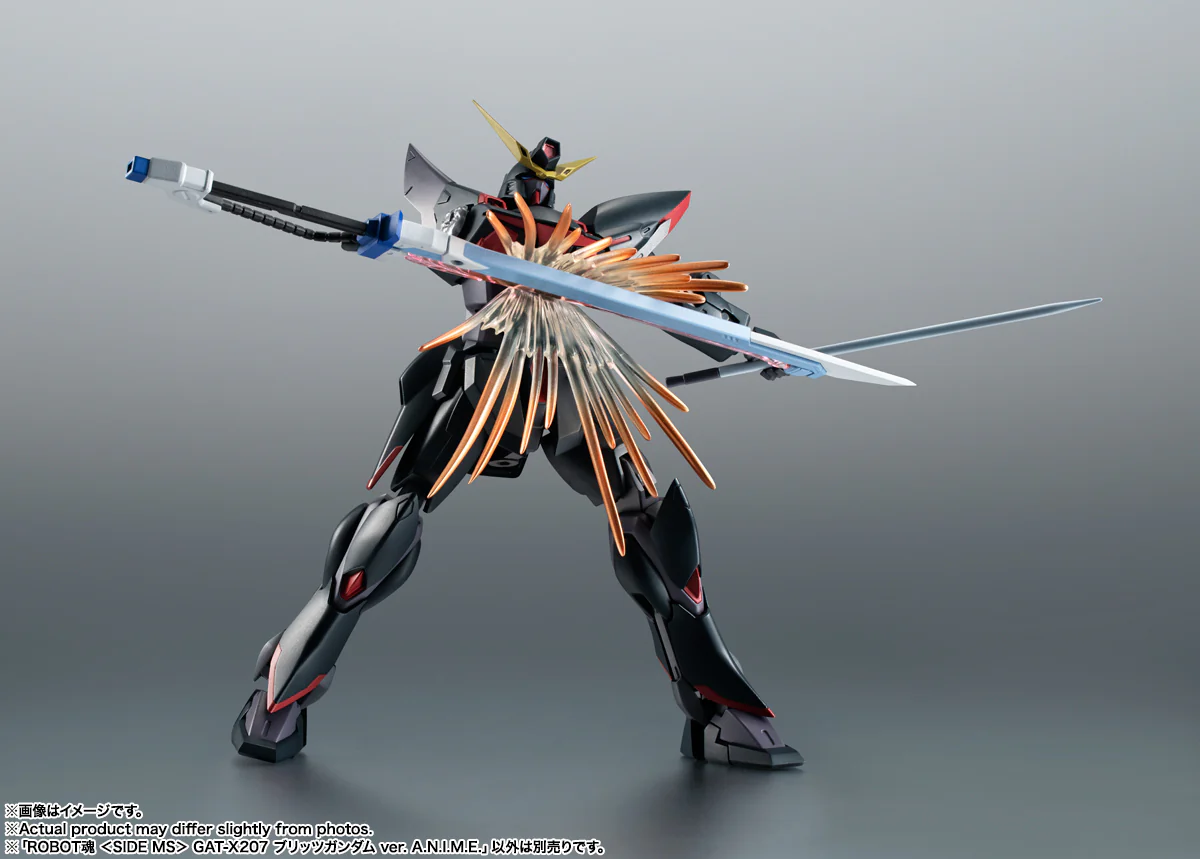 RS#314 <SIDE MS> GAT-X207 Blitz Gundam (Ver. A.N.I.M.E.) - Image 10