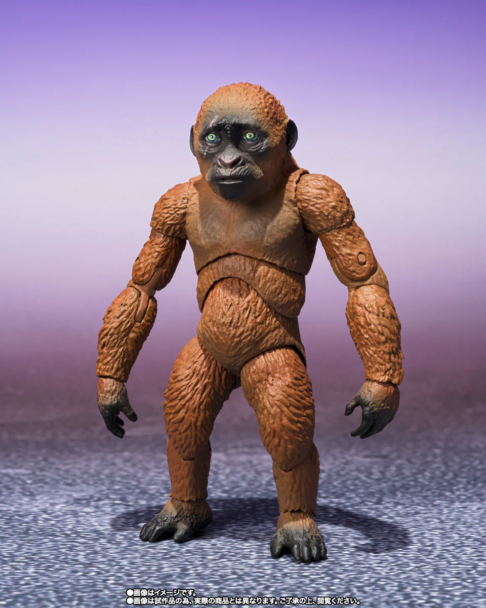 S.H.MonsterArts - Godzilla x Kong: The New Empire: Suko & Mothra (2024) - Image 2
