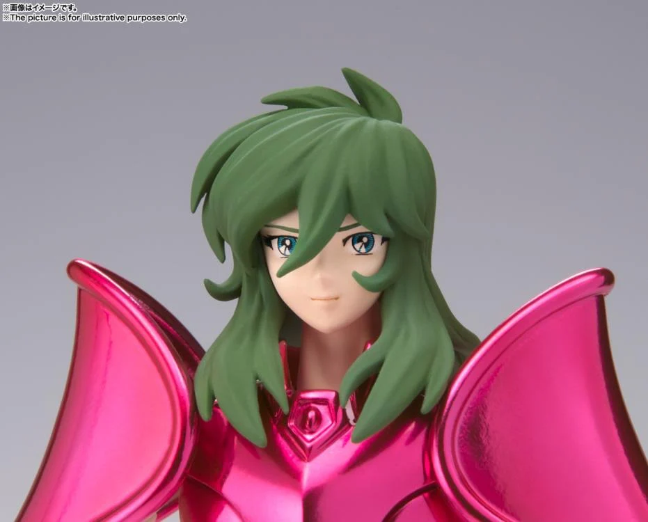 Saint Cloth Myth Cloth EX Andromeda Shun New Bronze (Revival Ver.) Limited Edition - Image 5